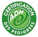 certification pedigree